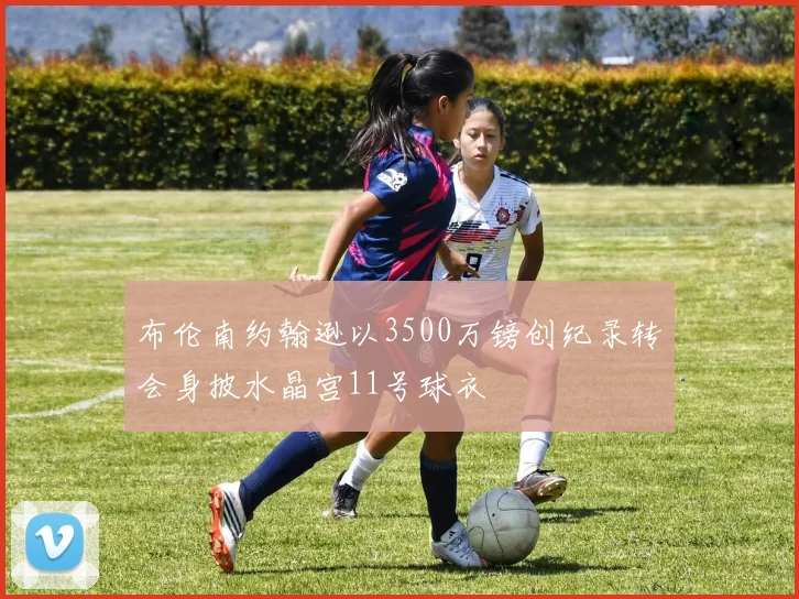 布伦南约翰逊以3500万镑创纪录转会身披水晶宫11号球衣